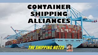 Container Shipping Alliances  The Shipping Notes 1 [upl. by Magan723]