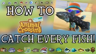 How To Catch Every Fish in Animal Crossing New Horizons  New Horizons Fishing Guide [upl. by Erdei499]