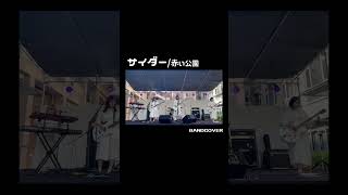 サイダー  赤い公園 Band Cover shorts [upl. by Odilo]