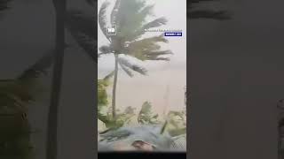 Strong winds hit town of Gonzaga in Cagayan dealt by MarcePH [upl. by Louis667]