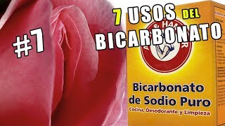 7 Usos del bicarbonato de Sodio que cada mujer tiene que conocer El7 te enloquecerá [upl. by Nymzaj]