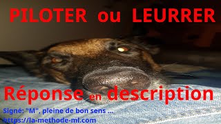 PILOTER son chien OU LEURRER son chien  Educateur canin en présentiel OU Bullshit en ligne  BBM [upl. by Hpejsoj5]