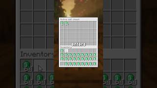 THIS ONE ITEM minecraftservers [upl. by Aivonas8]