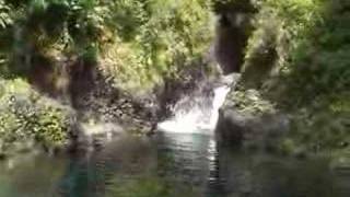 Hawaii Local Swimming Hole Chings Pond [upl. by Nifled]