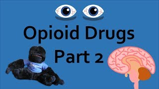 Opioid Drugs Part 2 Addiction and Overdose [upl. by Divaj]