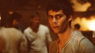 the maze runner • we cant leave for Agneta [upl. by Jago]