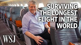 How to Survive the Longest Flight in the World  The Middle Seat [upl. by Stets25]