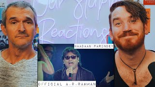 Naadaan Parindey by A R Rehman and Mohit Chauhan LIVE CONCERT REACTION [upl. by Mindy]