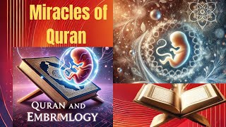 Quran and Embryology Scientific Miracles in Quran [upl. by Harikahs]