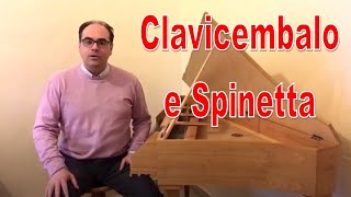 Strumenti Musicali Il Clavicembalo Storia  Comè fatto  come si suona [upl. by Eiderf]