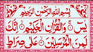 Surah Yaseen  Episode  001  Surah Yasin With Arabic Text FHD  Read Daily Quran [upl. by Ragse]