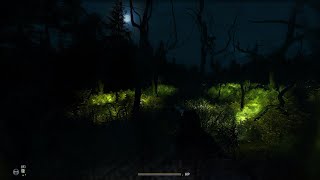 STALKER Anomaly Custom 009  Midnight Horror [upl. by Hnah]