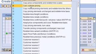 SAP SD Pricing [upl. by Debbee]