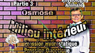 Physiologie Animale S4 Milieu intérieur partie 3 [upl. by Annad507]