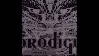 The Prodigy  Charly Slow Version [upl. by Errol]