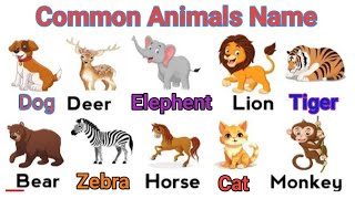 Animals Name  Learn Animals Name in English Animals Name Basic English Learning  animal pictures [upl. by Zwick]