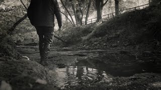 Woodland walking [upl. by Ninnetta]