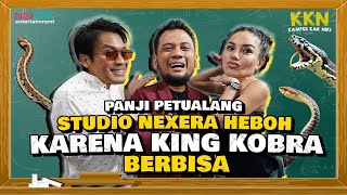 PANJI PETUALANG H4R1M4U ALSHAD T4KUT KING KOBRA PANJI SIAPA TOP PREDATOR SEBENARNYA  KKN [upl. by Tegdirb]