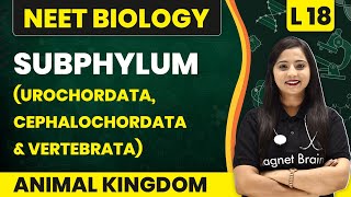 Subphylum  Urochordata Cephalochordata amp Vertebrata  Animal Kingdom  L18  NEET Biology [upl. by Tidwell285]