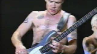 flea bass solo  live bizarre [upl. by Wilona]