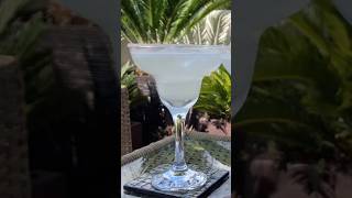 Classic Margarita Cocktail Recipe  3 ingredients easy to follow recipe [upl. by Oranneg395]