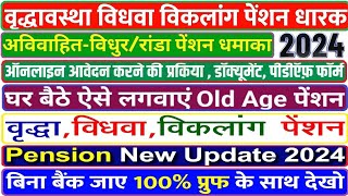 Pension news 2024 🤑 Vidhur Pension apply online haryana  pension kaise check kare  pension Status [upl. by Ytomit43]