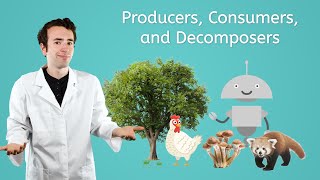 Producers Consumers and Decomposers  General Science for Kids [upl. by Siladnerb]