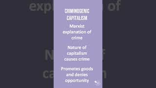 Criminogenic Capitalism  60 Second Sociology Crime and Deviance [upl. by Cottrell743]