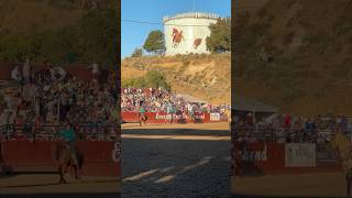 Opening ceremonies of the Ellensburg Rodeo rodeo horse western traditional [upl. by Rothmuller]