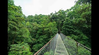 Monteverde Selvatura Park [upl. by Cod]