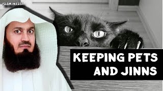 Pets and Jinns  Mufti Menk [upl. by Vinna]