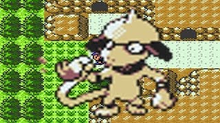 How to find Smeargle in Pokemon Crystal [upl. by Yrekaz]