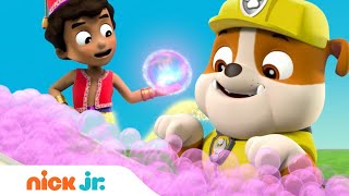 PAW Patrol Land Sea amp Sky Rescues w Zuma Chase amp Tracker  60 Minute Compilation  Nick Jr [upl. by Nilrac309]