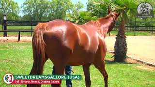 145Y SWEETDREAMSGALLOREUSA 9 Smarty Jones  Dreams Gallore [upl. by Brade778]