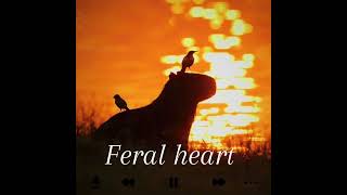 Kerli Feral Hearts speed up [upl. by Enneyehc]