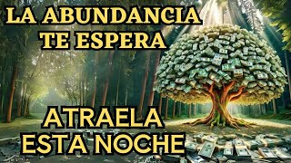 ✨ABRE LAS PUERTAS A LA ABUNDANCIA POR LA NOCHE✨Atrae Riqueza y Dinero  Ley de Atracción✨ [upl. by Dahsar]