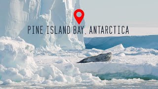 Pine Island Bay Antarctica 4K [upl. by Landis655]