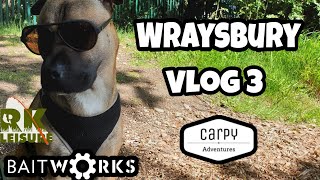 Carp Fishing  Wraysbury Vlog 3  2019 [upl. by Atekihc761]