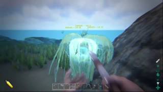 ARK Survival Evolved How to get BioToxin and Craft Shocking Tranq Darts [upl. by Thetisa]