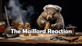 The Maillard Reaction 101 [upl. by Sandeep]