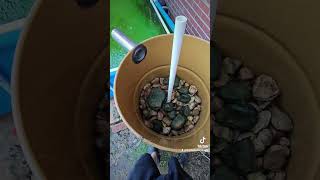 Build A Radial Flow Bog Filter for My Fish Pond With Me fishing fish pond bass fyp [upl. by Oluap937]