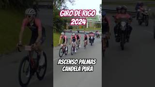 Giro de Rigo 2024  ascenso palmas candela pura pirotecnia ciclismo cycling carrera épica [upl. by Nnairak]