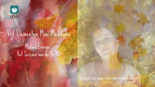 10 minuten DoIn Meditatie element metaal herfst muziek Ik laat los wat mij niet meer dient [upl. by Akcira]