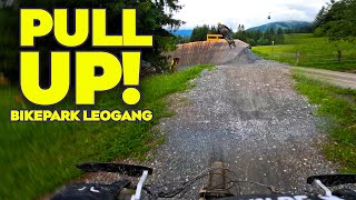 Pull UP LEOGANG BIKE PARK DAY [upl. by Alta791]