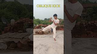 How to learn OBLIQUE KICK [upl. by Ameen867]