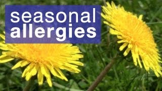 How to reduce seasonal allergies [upl. by Bain795]