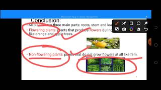 flowering and nonflowering plantsgr3lesson1 part 2 [upl. by Braswell682]