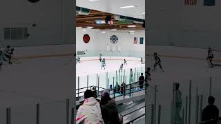 The Most Insane Hockey Game Ever [upl. by Selrahcnhoj62]