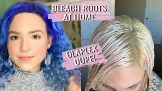 How to Bleach Roots at Home with Ion Absolute Perfection Color Booster Tips on Bleaching at Home [upl. by Inobe]