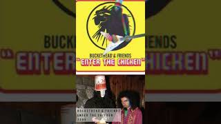 Review of Buckheads Enter The Chicken serjtankian Brings Out The Best From buckethead [upl. by Orhtej]